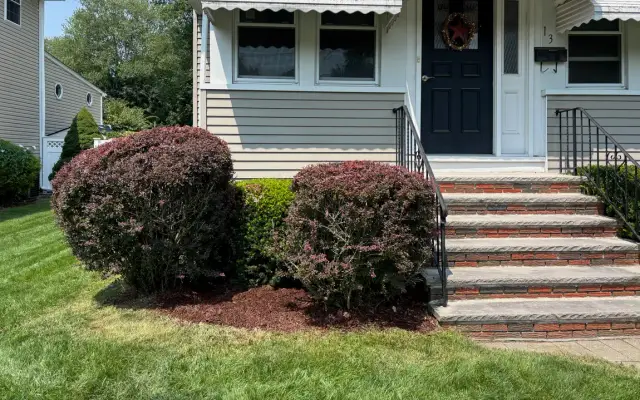 Trimmed hedges and cleared beds at the front of a house