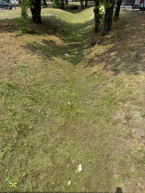 Lakewood — Overgrown Creek Bank after