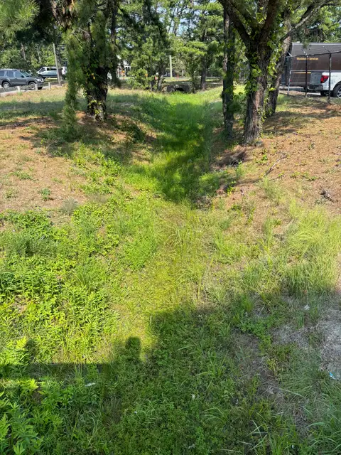 Lakewood — Overgrown Creek Bank before