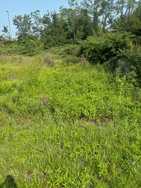 Tinton Falls — Retention Ponds before