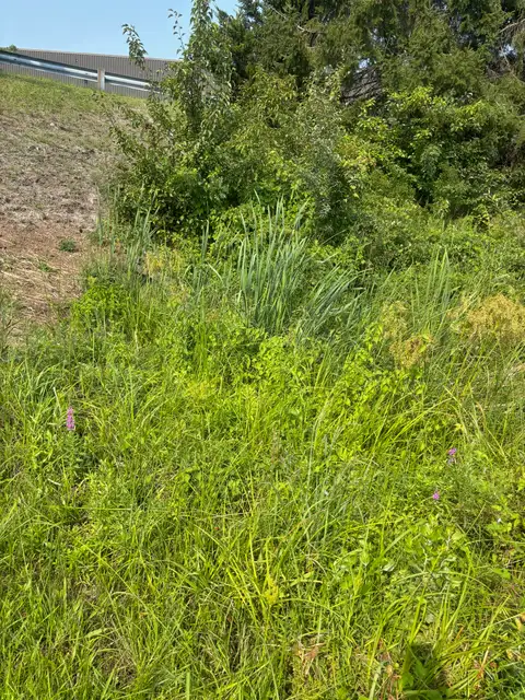 Tinton Falls — Retention Ponds before