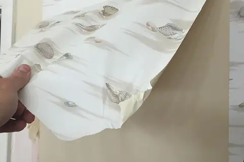 Wallpaper Removal and Repaint
