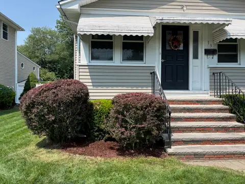 Front Hedges after