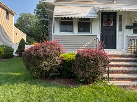 Front Hedges before