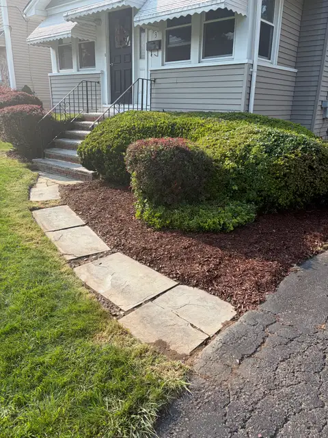 Front Hedges after