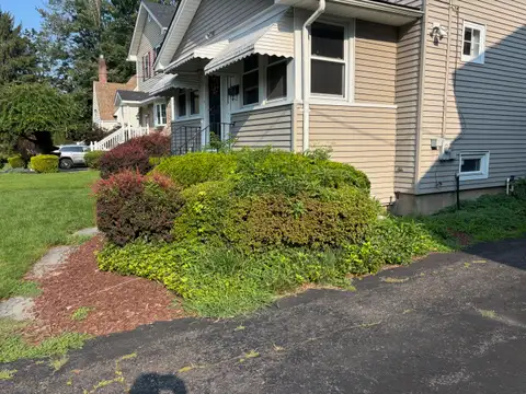 Front Hedges before