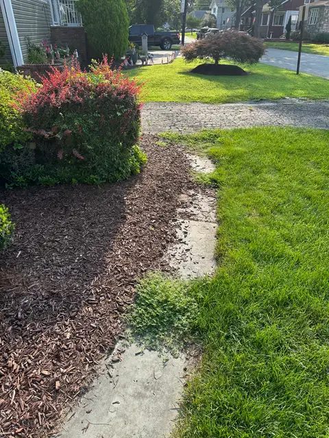 Front Walkway before