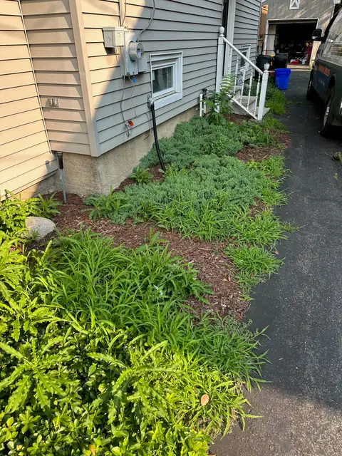 Side of the House before