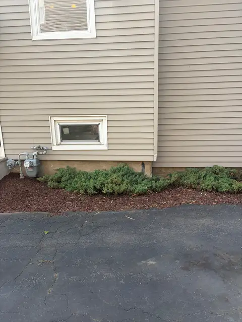 Side of the House after