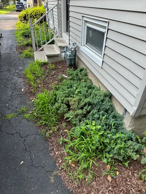 Side of the House before