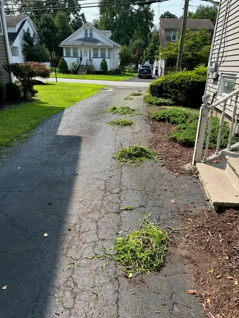 Side of the House during